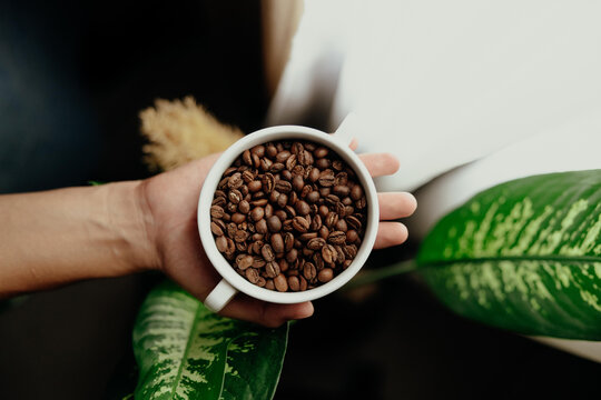 caf&eacute; en grano listo para moler