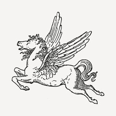 A hand-drawn vintage-style illustration of Pegasus, the mythical winged horse, in mid-flight. A classic black and white sketch with fine details.