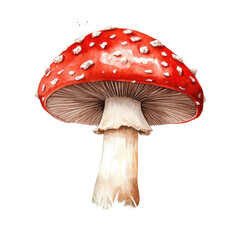 Red mushroom watercolor illustration, perfect for botanical, fantasy, or nature-themed projects. PNG transparent background.