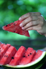 watermelon in the hand