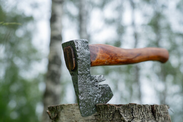 Austrian axe in green forest close up