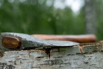 Austrian axe in green forest close up