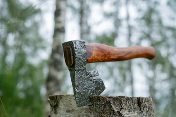 Austrian axe in green forest close up