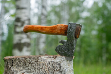 Austrian axe in green forest close up