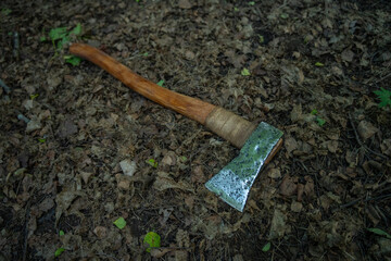 Vintage Axe with Wooden Handle