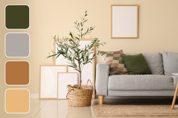 Interior of modern living room with olive tree and blank frames near beige wall. Different color patterns