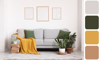 Grey sofa with cushions and plaid, houseplant and frames on white wall in living room. Different...