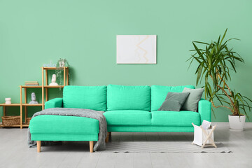 Interior of living room with sofa, shelf unit and palm tree