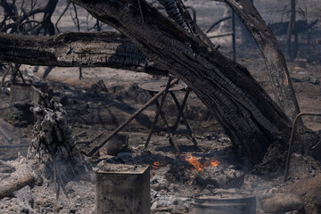 Forest Fire Suppression and Cooling Efforts
