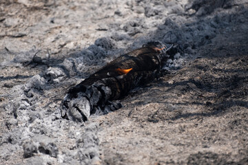 Forest Fire Suppression and Cooling Efforts