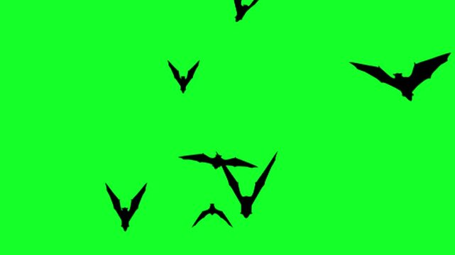 greenscreen bat animation