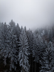misty morning in the forest over snow covered trees drone photography winter mood