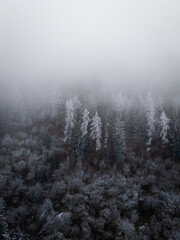 misty morning in the forest over snow covered trees drone photography winter mood