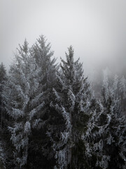 misty morning in the forest over snow covered trees drone photography winter mood