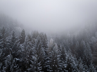 misty morning in the forest over snow covered trees drone photography winter mood