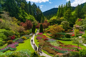 Crédence de cuisine Jardin Sunken Garden at Butchart Gardens on Vancouver Island, Canada  © momo11353