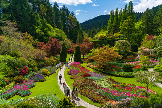Sunken Garden at Butchart Gardens on Vancouver Island, Canada