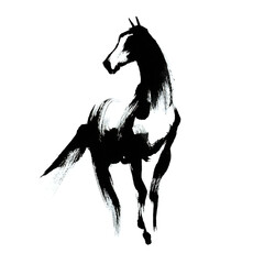 墨で描いた立ち止まり振り返る馬のイラスト