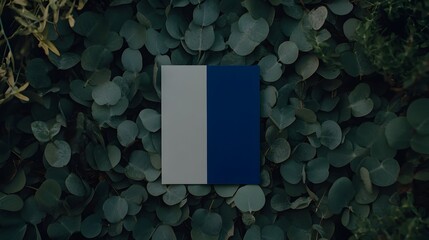 Elegant Gray and Blue Card Mockup on Eucalyptus Leaves