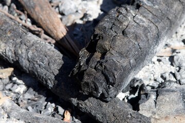 A pile of burnt wood with a few pieces still standing