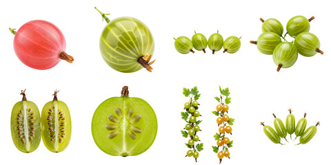 Variety of gooseberries on white background, set  