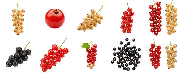 Fresh variety of currants in assorted colors, set  