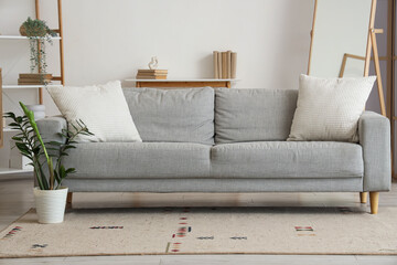 Interior of stylish living room with grey sofa, houseplant and mirror