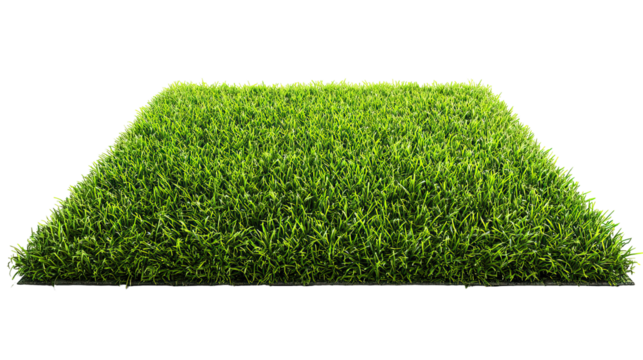 Rectangular Grassy Texture Mat in Luxurious Gorgias Design on Transparent Background
