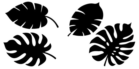 Black and white tropical leaf vector set with monstera, palm, and exotic plant shapes, simple design

