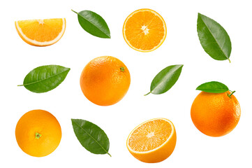 set of citrus fruits isolated on white background.