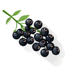 My A Simple flat 2D illustration icon black peppercorns bunch isolated on transparent background, vector, flat design, animation design, simple flat 2D icon, clipart, design by me. My vector design