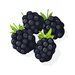My A Simple flat 2D illustration blackberries group isolated on transparent background, vector, flat design, animation design, simple flat 2D icon, clipart, design by me. My vector design