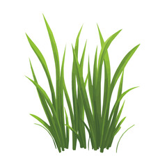 My A Simple flat 2D illustration grass blades isolated on transparent background, vector, flat design, animation design, simple flat 2D icon, clipart, design by me. My vector design