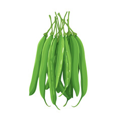 My A Simple flat 2D illustration icon green beans bunch isolated on transparent background, vector, flat design, animation design, simple flat 2D icon, clipart, design by me. My vector