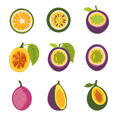 My A Simple flat 2D illustration icon passion fruits collection isolated on transparent background, vector, animation design, simple flat 2D clipart, design by me. My vector design