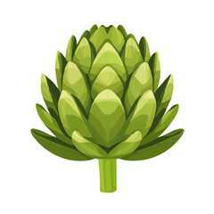 My A Simple flat 2D illustration icon artichoke isolated on transparent background, vector, animation design, simple flat 2D clipart, design by me. My vector design