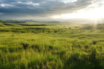 Serene landscape with green grass and sunset horizon for nature inspiration