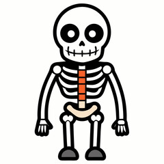 Cartoon skeleton body with orange spine and beige pelvis bones illustration