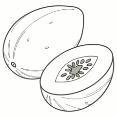 Melon slice and whole fruit outline food healthy