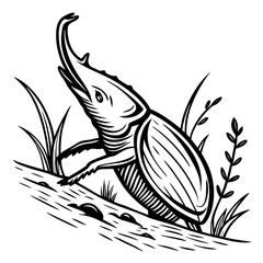 Rhinoceros beetle climbing grassy incline black and white insect nature