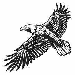 Majestic eagle in flight black ink illustration bird flying
