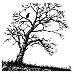 Bare tree silhouette with bird on branch and grassy foreground black and white