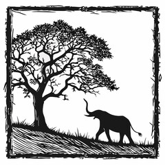 African elephant walks under acacia tree silhouette savanna wildlife