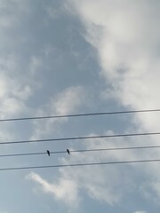 The picture of sky with the electricity wires and two birds on top of it.