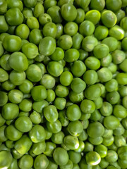 Freshly picked homegrown Garden peas in Nottingham, UK.