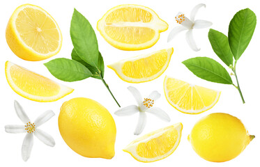 Fresh lemons, green leaves and flowers on white background, collage. Citrus fruit