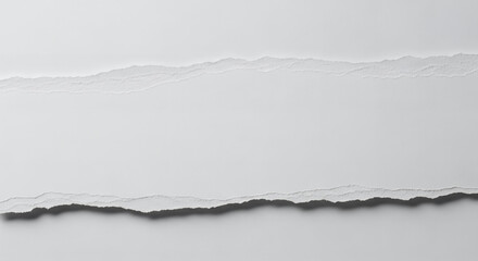 Minimalist white torn paper background with a horizontal rip provides ample copy space. The textured edges add depth