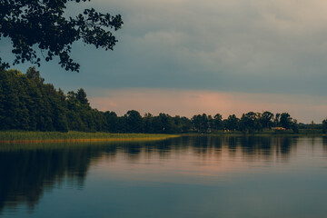A beautiful lake in a forested area with aquatic plants, canes, reeds and trees on the shore under cloudy evening sky