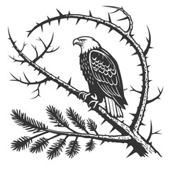 Eagle perched on thorny branch bird