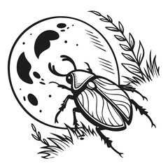 Beetle moon grass branch insect